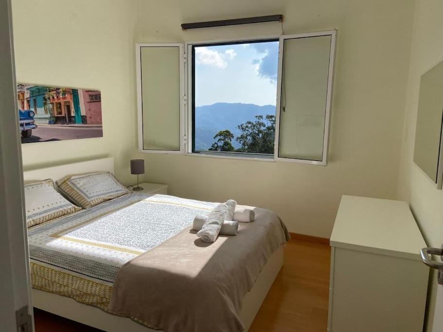 Вилла The Hideaway Retreat Santo Antonio da Serra Экстерьер фото